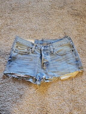 Hollister Light Blue Cutoff Denim Shorts